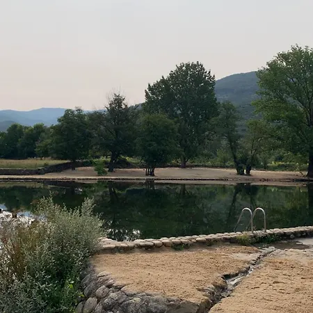 En El Valle Del Jerte Flores Angela *