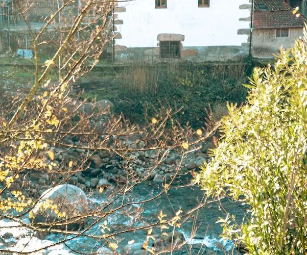 Apartman En El Valle Del Jerte Flores Angela